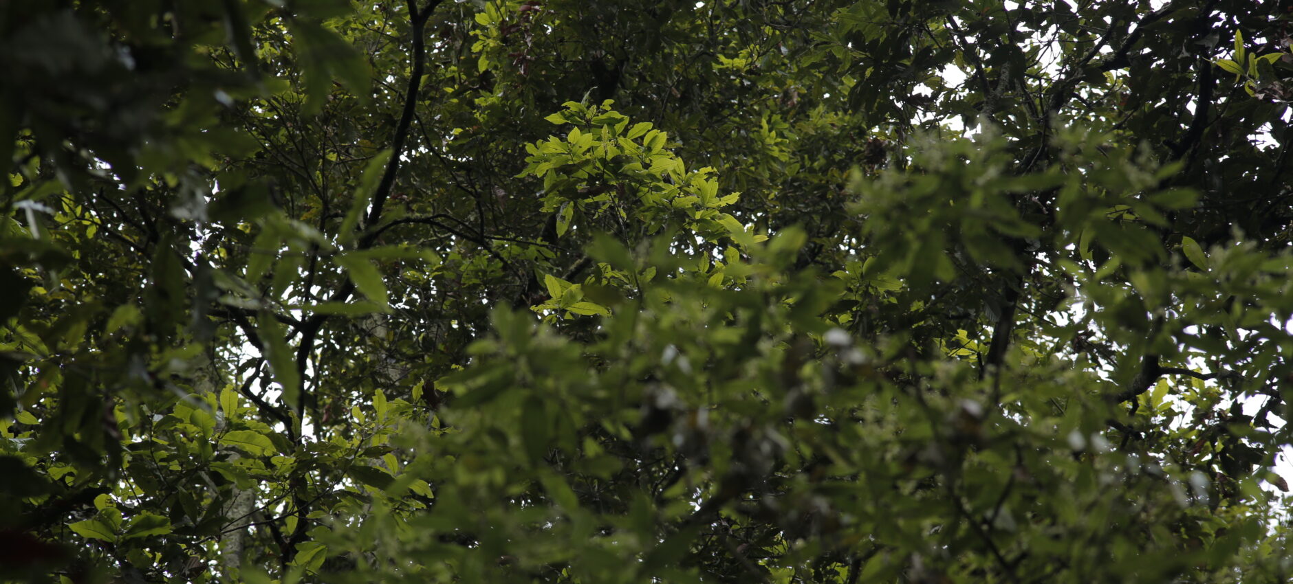 03a0973-scaled.jpg
